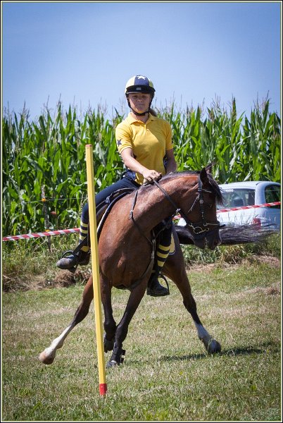 Mounted Games 168